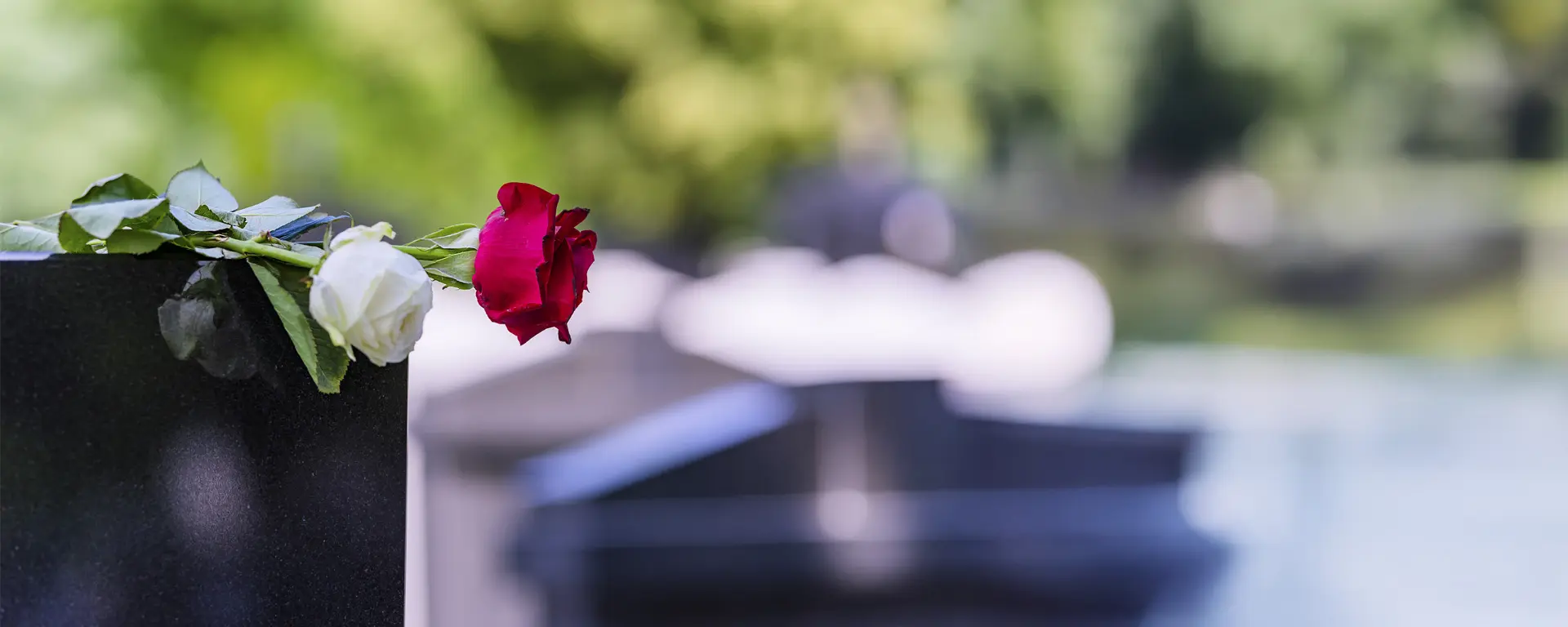 Rose on tomb