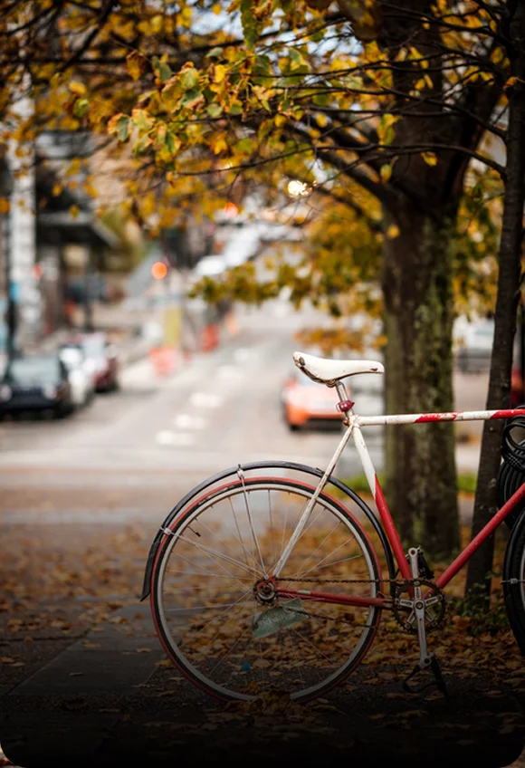 Bicycle on parked on the road