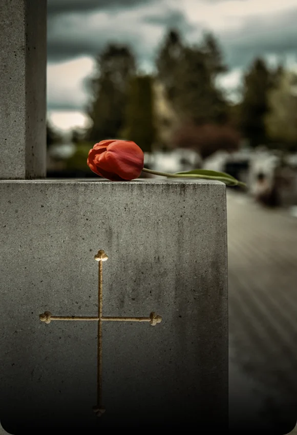 Rose on tomb